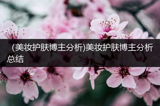 （美妝護(hù)膚博主分析)美妝護(hù)膚博主分析總結(jié)