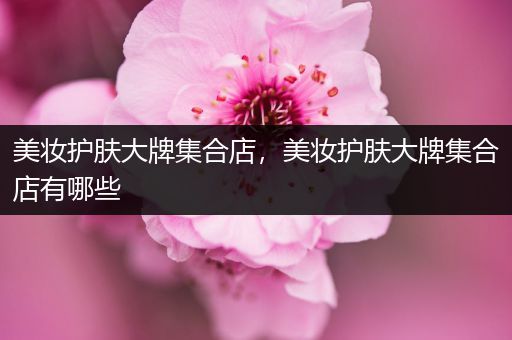 美妝護(hù)膚大牌集合店，美妝護(hù)膚大牌集合店有哪些