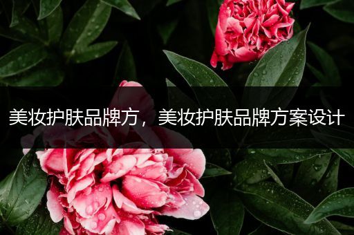 美妝護膚品牌方，美妝護膚品牌方案設(shè)計