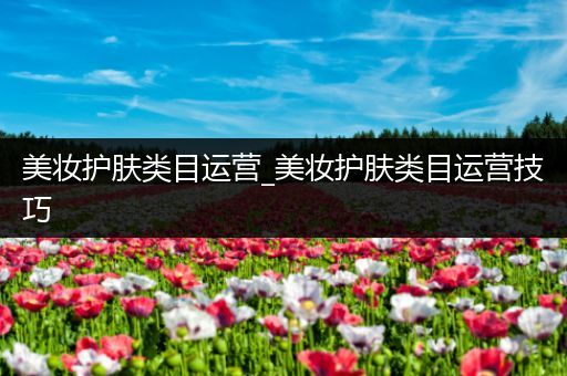 美妝護(hù)膚類目運(yùn)營(yíng)_美妝護(hù)膚類目運(yùn)營(yíng)技巧
