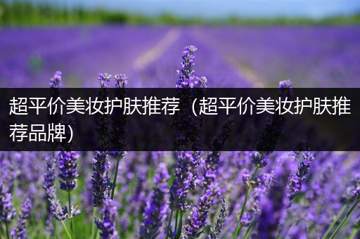 超平價美妝護膚推薦（超平價美妝護膚推薦品牌）