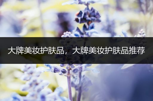 大牌美妝護(hù)膚品，大牌美妝護(hù)膚品推薦