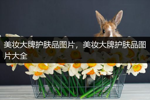 美妝大牌護(hù)膚品圖片，美妝大牌護(hù)膚品圖片大全