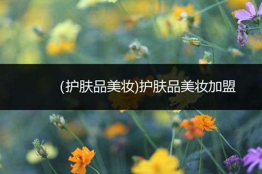 （護(hù)膚品美妝)護(hù)膚品美妝加盟