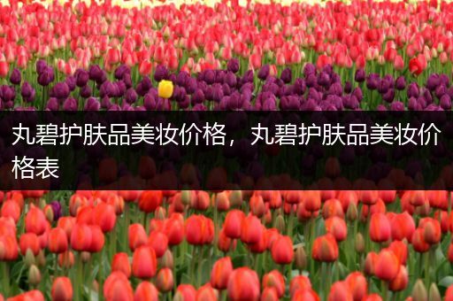 丸碧護膚品美妝價格，丸碧護膚品美妝價格表