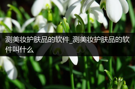 測(cè)美妝護(hù)膚品的軟件_測(cè)美妝護(hù)膚品的軟件叫什么