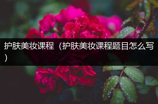護膚美妝課程（護膚美妝課程題目怎么寫）