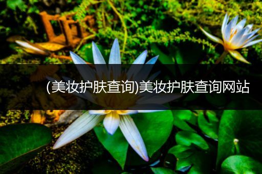 （美妝護(hù)膚查詢)美妝護(hù)膚查詢網(wǎng)站