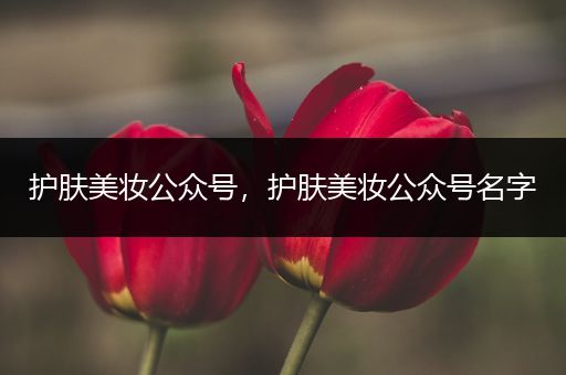 護(hù)膚美妝公眾號，護(hù)膚美妝公眾號名字