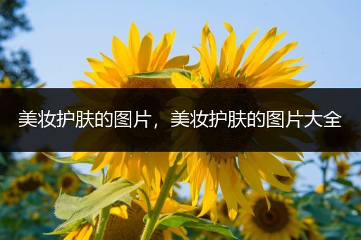 美妝護(hù)膚的圖片，美妝護(hù)膚的圖片大全
