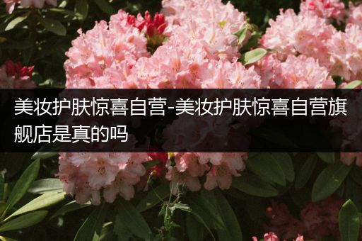 美妝護(hù)膚驚喜自營-美妝護(hù)膚驚喜自營旗艦店是真的嗎