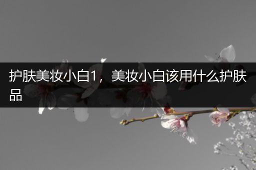 護膚美妝小白1，美妝小白該用什么護膚品