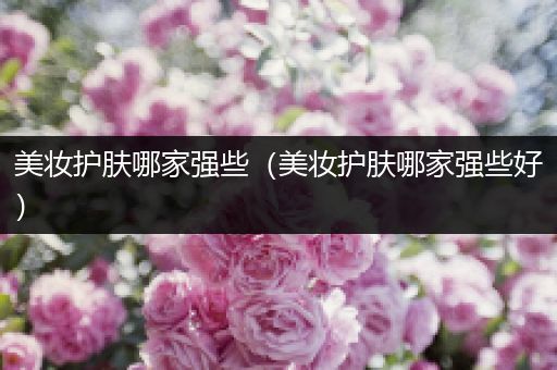 美妝護膚哪家強些（美妝護膚哪家強些好）