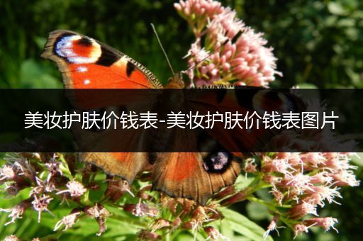 美妝護(hù)膚價(jià)錢表-美妝護(hù)膚價(jià)錢表圖片