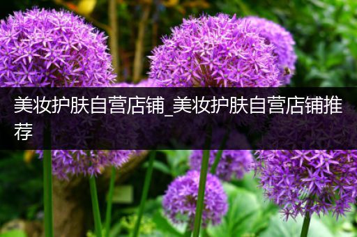 美妝護(hù)膚自營(yíng)店鋪_美妝護(hù)膚自營(yíng)店鋪推薦