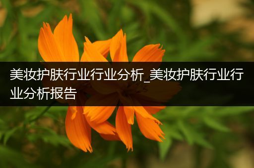 美妝護(hù)膚行業(yè)行業(yè)分析_美妝護(hù)膚行業(yè)行業(yè)分析報(bào)告