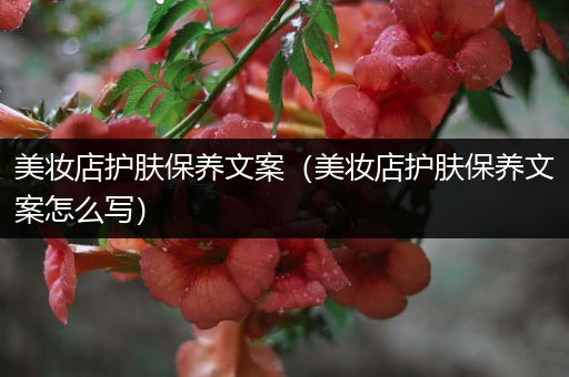 美妝店護(hù)膚保養(yǎng)文案（美妝店護(hù)膚保養(yǎng)文案怎么寫(xiě)）