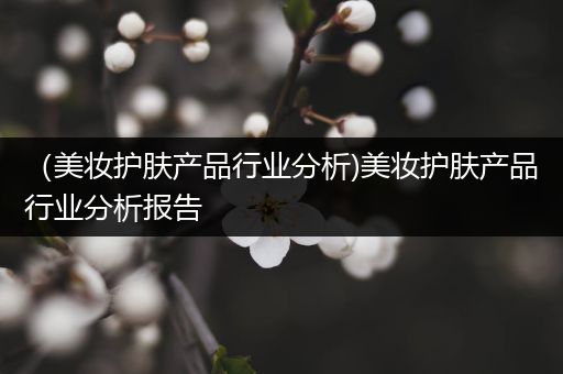 （美妝護(hù)膚產(chǎn)品行業(yè)分析)美妝護(hù)膚產(chǎn)品行業(yè)分析報(bào)告