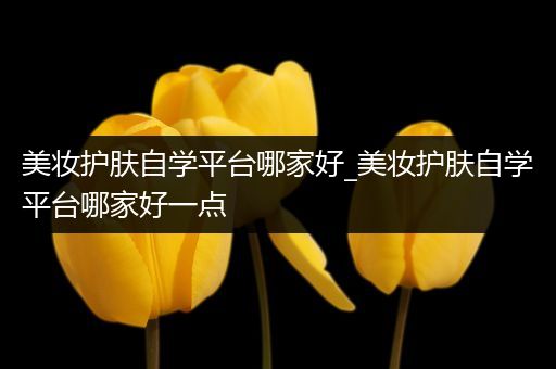 美妝護(hù)膚自學(xué)平臺哪家好_美妝護(hù)膚自學(xué)平臺哪家好一點(diǎn)