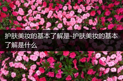 護(hù)膚美妝的基本了解是-護(hù)膚美妝的基本了解是什么