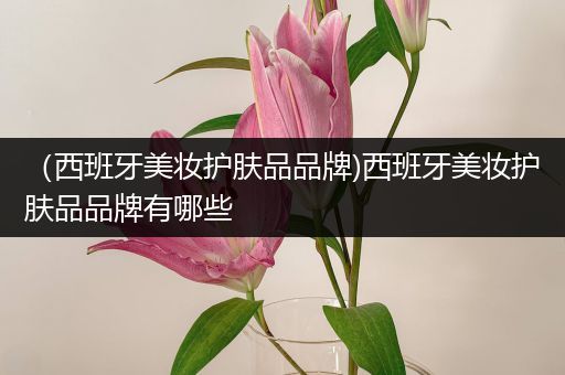 （西班牙美妝護膚品品牌)西班牙美妝護膚品品牌有哪些
