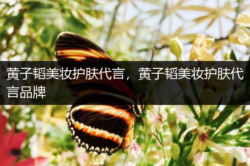 黃子韜美妝護膚代言，黃子韜美妝護膚代言品牌