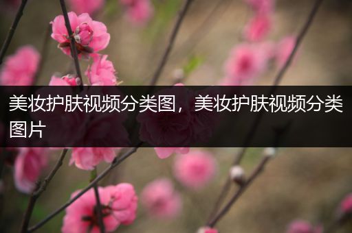 美妝護(hù)膚視頻分類圖，美妝護(hù)膚視頻分類圖片