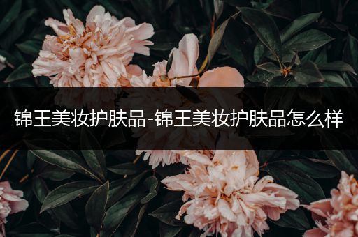 錦王美妝護膚品-錦王美妝護膚品怎么樣