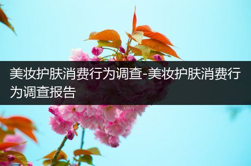 美妝護膚消費行為調(diào)查-美妝護膚消費行為調(diào)查報告