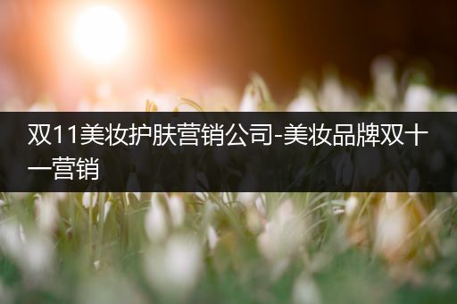 雙11美妝護膚營銷公司-美妝品牌雙十一營銷