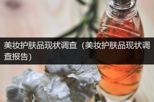 美妝護(hù)膚品現(xiàn)狀調(diào)查（美妝護(hù)膚品現(xiàn)狀調(diào)查報(bào)告）