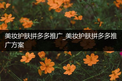 美妝護(hù)膚拼多多推廣_美妝護(hù)膚拼多多推廣方案