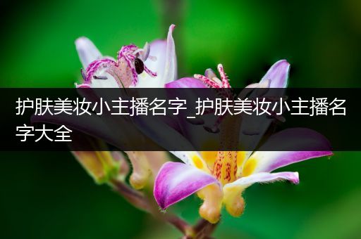 護膚美妝小主播名字_護膚美妝小主播名字大全