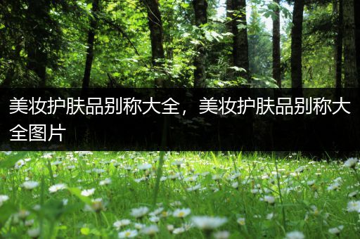 美妝護(hù)膚品別稱大全，美妝護(hù)膚品別稱大全圖片