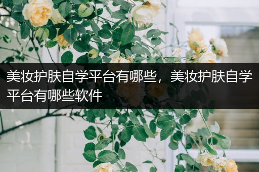 美妝護(hù)膚自學(xué)平臺(tái)有哪些，美妝護(hù)膚自學(xué)平臺(tái)有哪些軟件