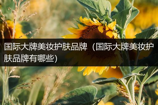 國(guó)際大牌美妝護(hù)膚品牌（國(guó)際大牌美妝護(hù)膚品牌有哪些）