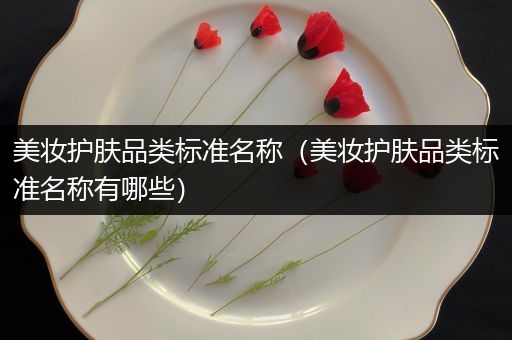 美妝護(hù)膚品類標(biāo)準(zhǔn)名稱（美妝護(hù)膚品類標(biāo)準(zhǔn)名稱有哪些）
