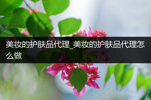 美妝的護(hù)膚品代理_美妝的護(hù)膚品代理怎么做
