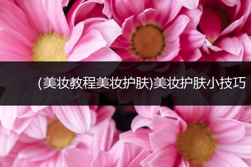 （美妝教程美妝護(hù)膚)美妝護(hù)膚小技巧