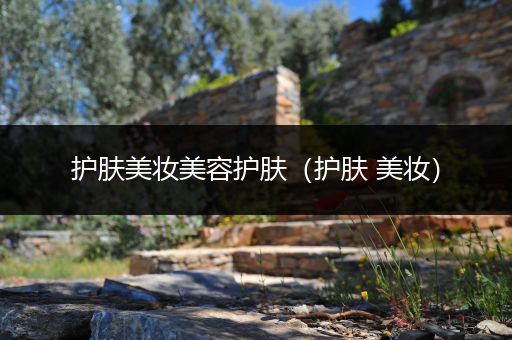 護(hù)膚美妝美容護(hù)膚（護(hù)膚 美妝）