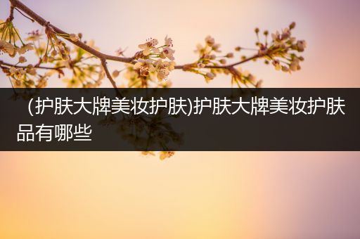 （護(hù)膚大牌美妝護(hù)膚)護(hù)膚大牌美妝護(hù)膚品有哪些
