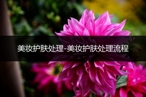 美妝護(hù)膚處理-美妝護(hù)膚處理流程