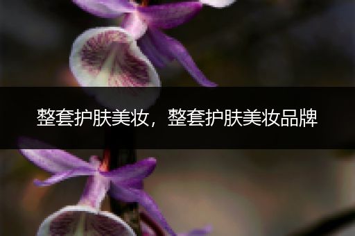 整套護(hù)膚美妝，整套護(hù)膚美妝品牌