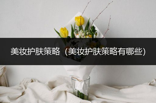 美妝護(hù)膚策略（美妝護(hù)膚策略有哪些）