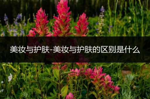 美妝與護膚-美妝與護膚的區(qū)別是什么