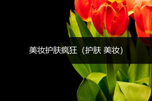美妝護(hù)膚瘋狂（護(hù)膚 美妝）