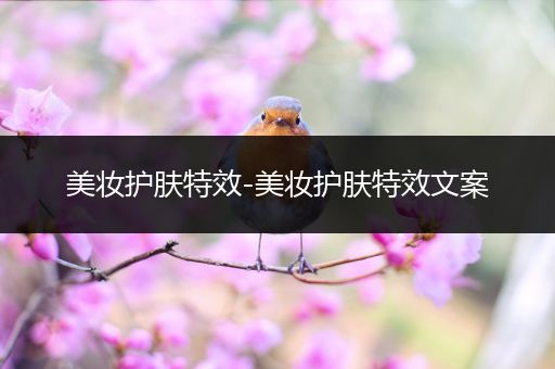 美妝護(hù)膚特效-美妝護(hù)膚特效文案