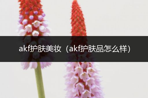 akf護(hù)膚美妝（akf護(hù)膚品怎么樣）