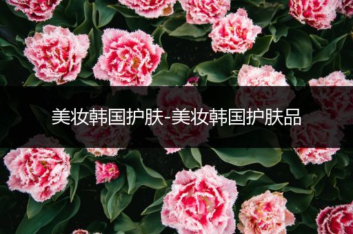 美妝韓國(guó)護(hù)膚-美妝韓國(guó)護(hù)膚品