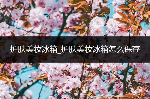 護(hù)膚美妝冰箱_護(hù)膚美妝冰箱怎么保存
